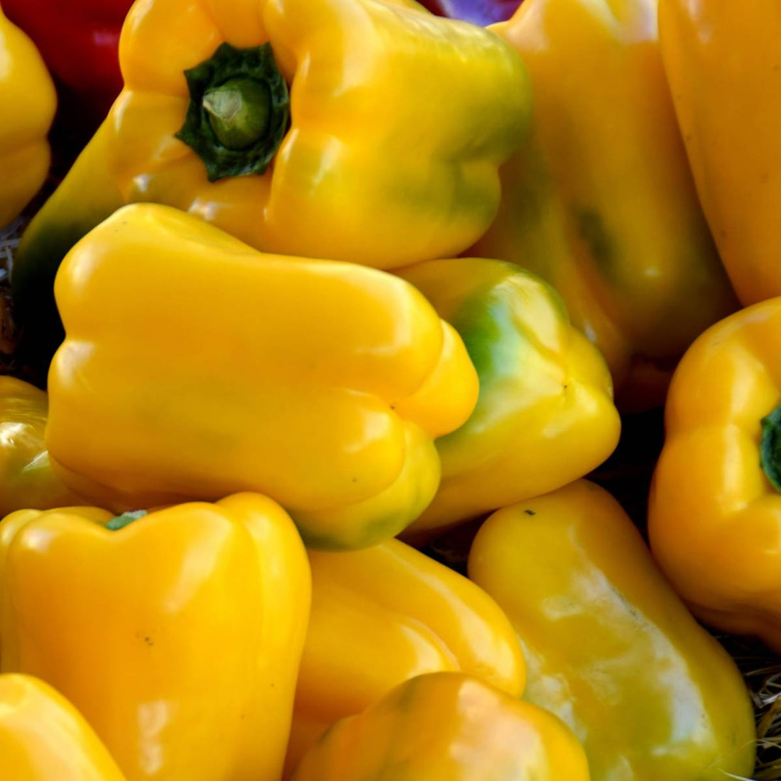 Peperoni gialli 500gr