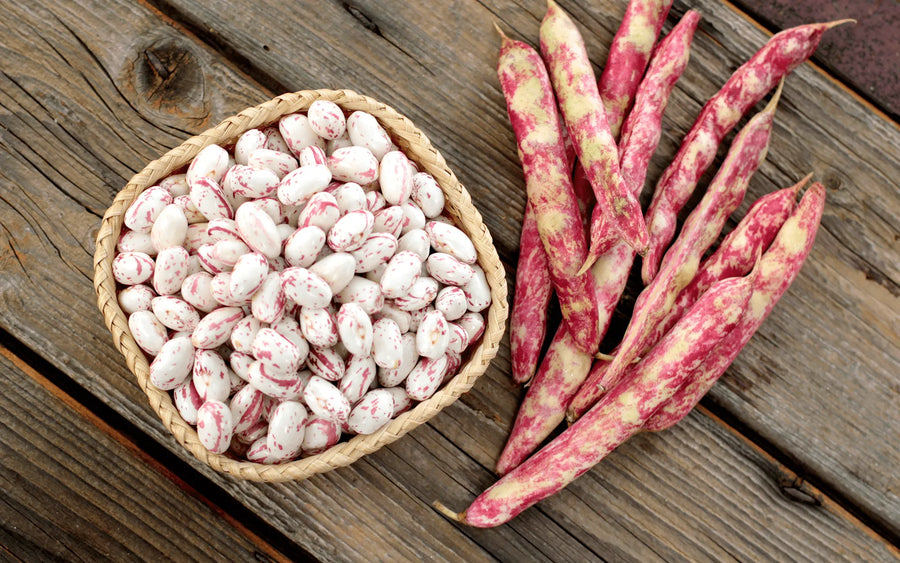 Fagioli borlotti 500gr