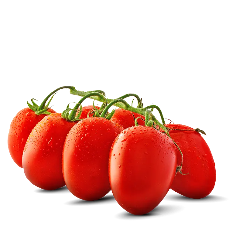 Pomodori datterino 500gr