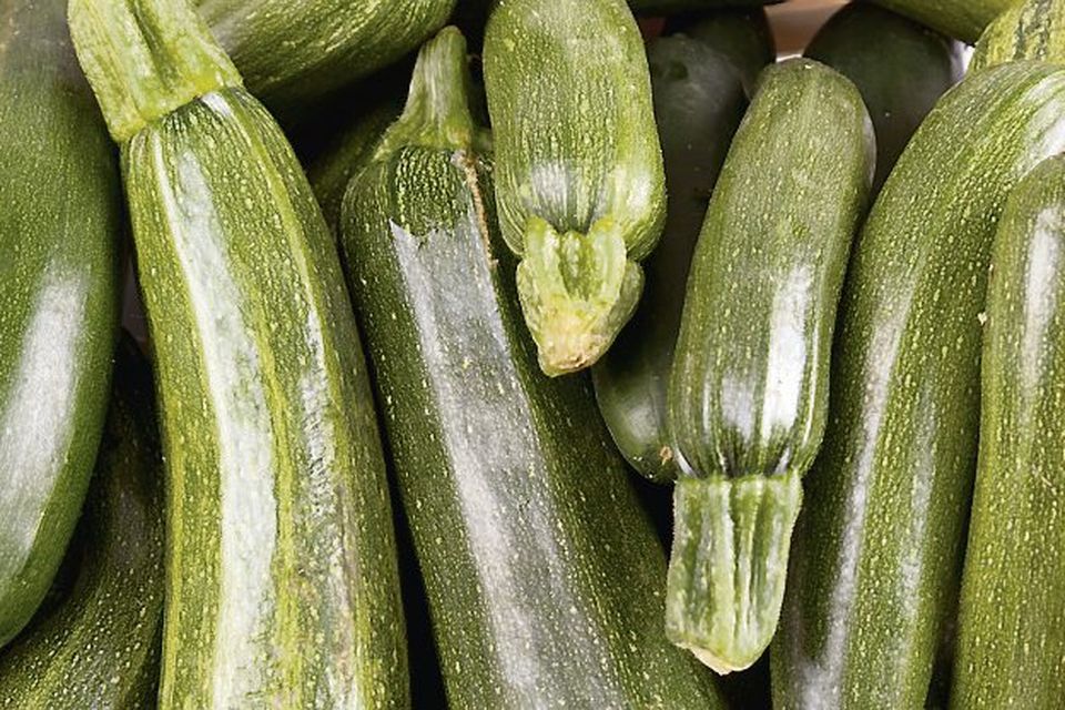 Irish courgette 500gr