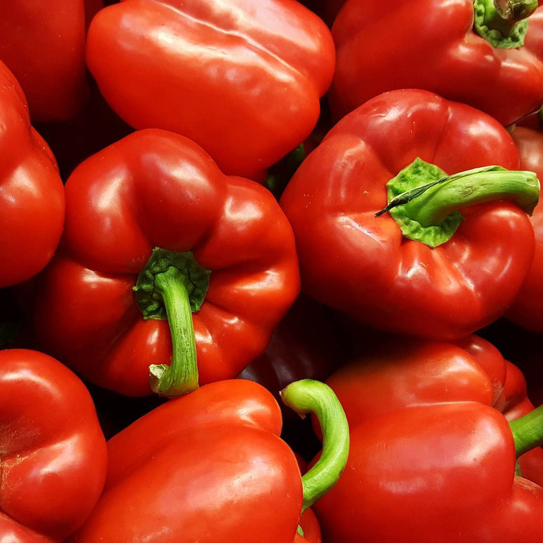 Peperoni Rossi 500gr